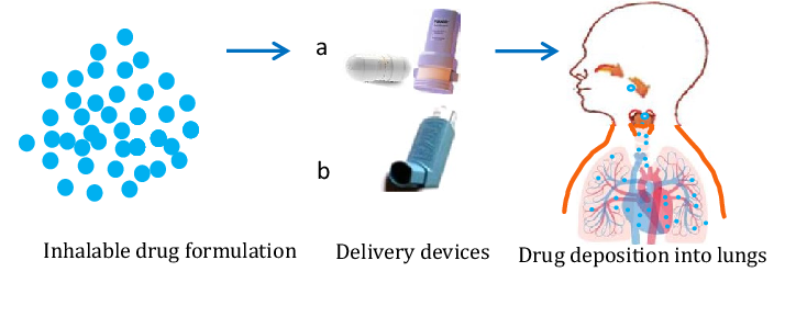 Respiratory Formulations